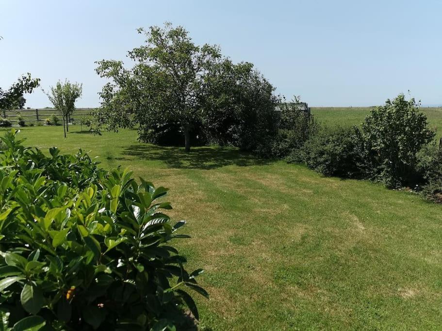 Saint-Aubin-Des-PreauxDependance Au Calme Dans Notre Jardin别墅 外观 照片